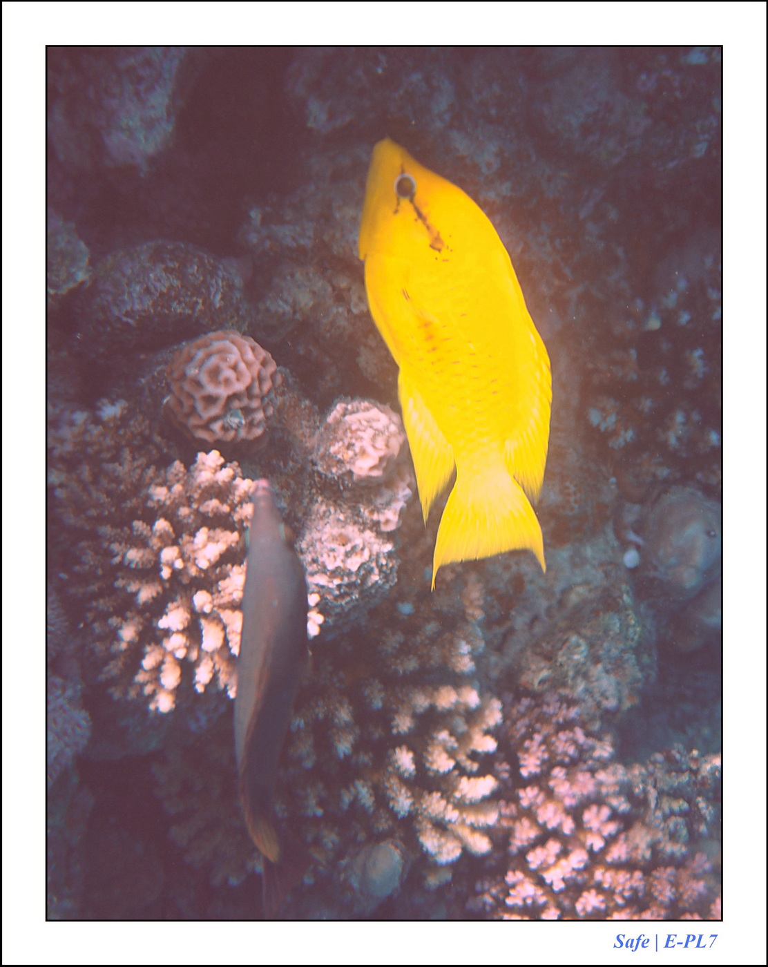 Hurghada - Juillet 2021 - 036